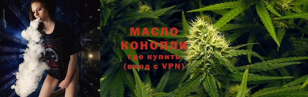 хмурый Каменногорск
