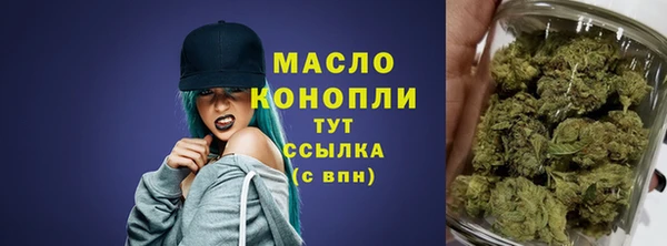 хмурый Каменногорск