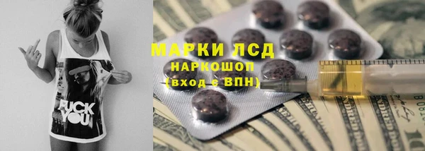 скорость Каменка