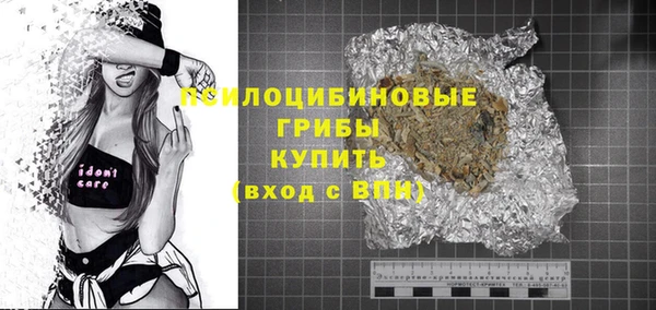 хмурый Каменногорск