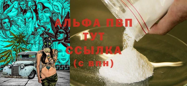 хмурый Каменногорск