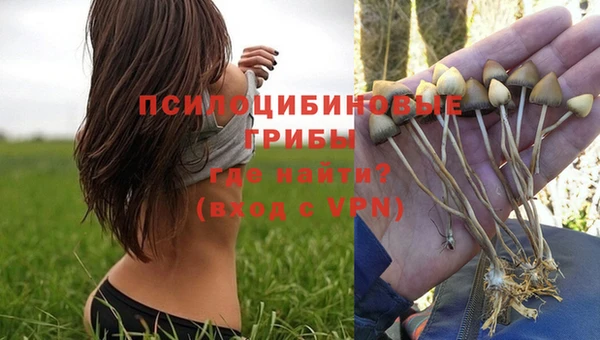 скорость Каменка