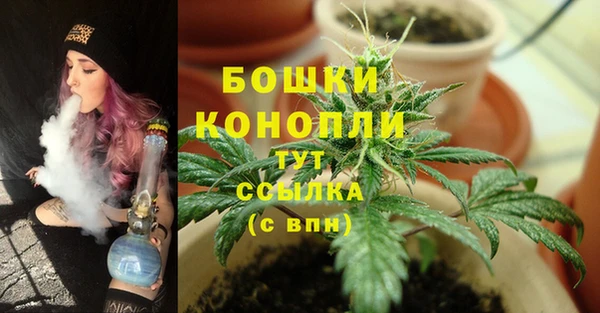 скорость Каменка
