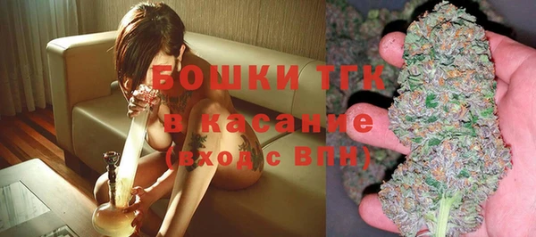 хмурый Каменногорск