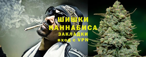 хмурый Каменногорск