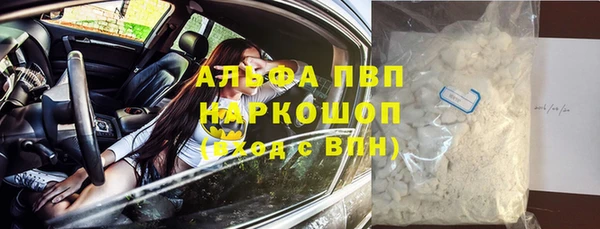скорость Каменка