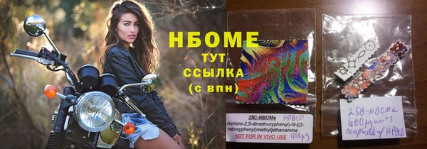 скорость Каменка